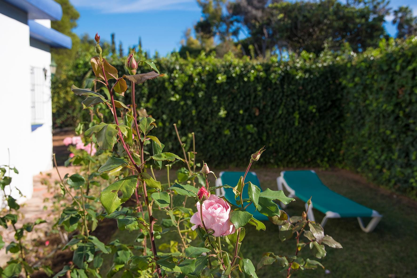 Cortijo Fontanilla, foto 12