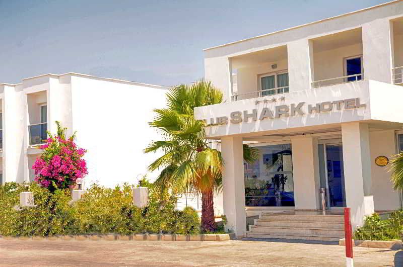 Shark Club, foto 3