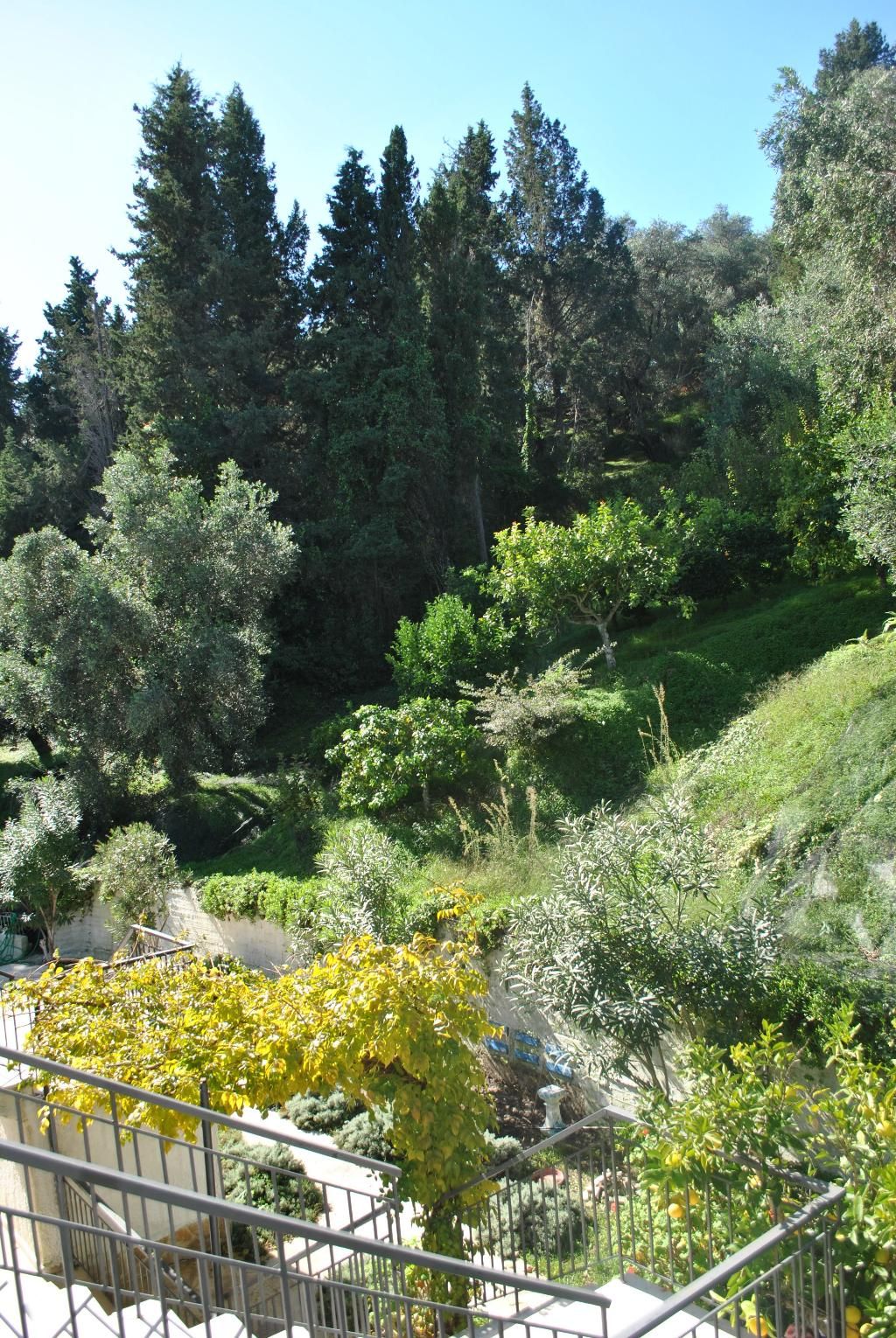Helios Splendid, foto 8