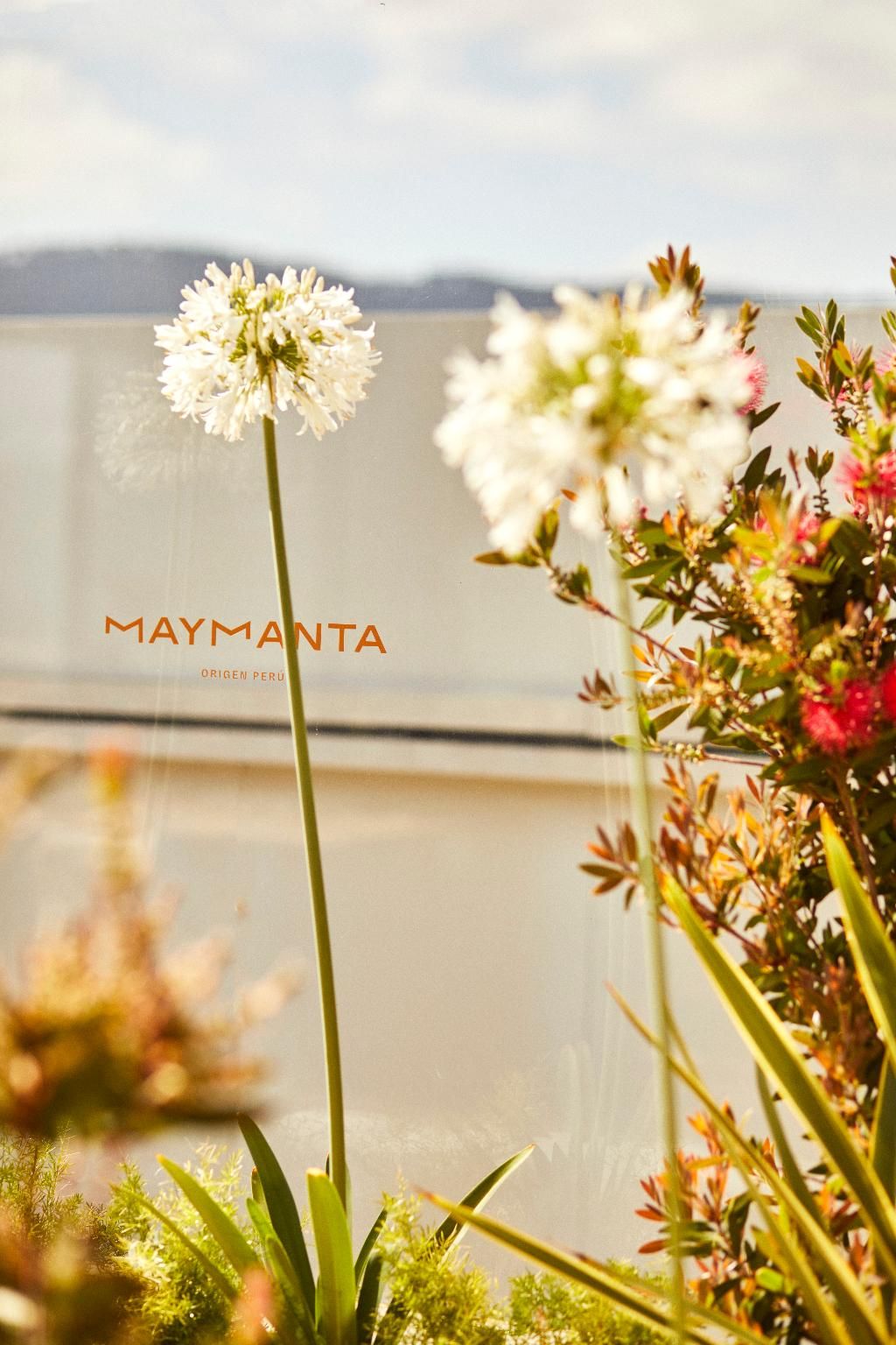 Grand Hyatt Barcelona, foto 9
