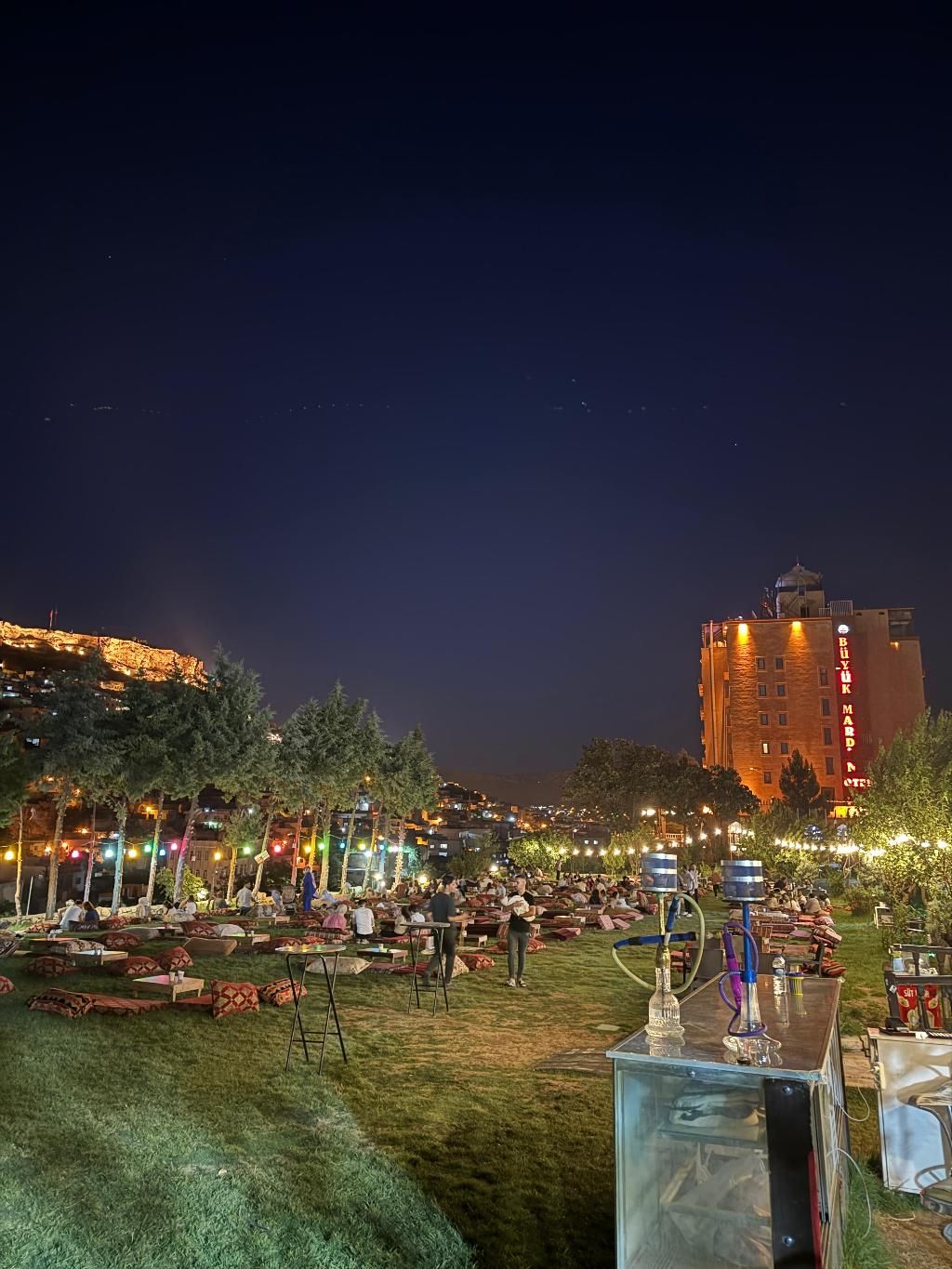 Büyük Mardin Oteli, foto 6