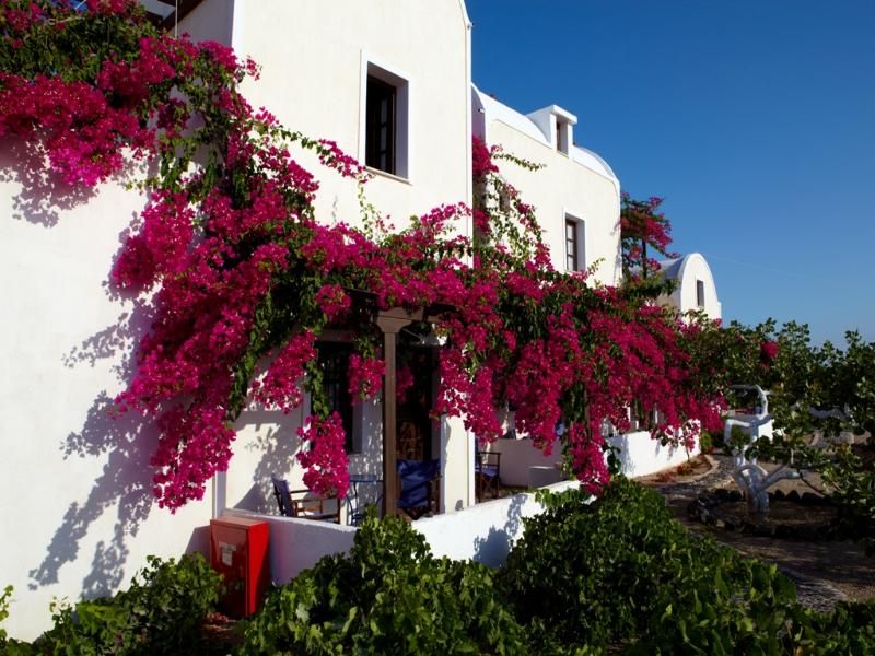 Anna Traditional Apartments, foto 5