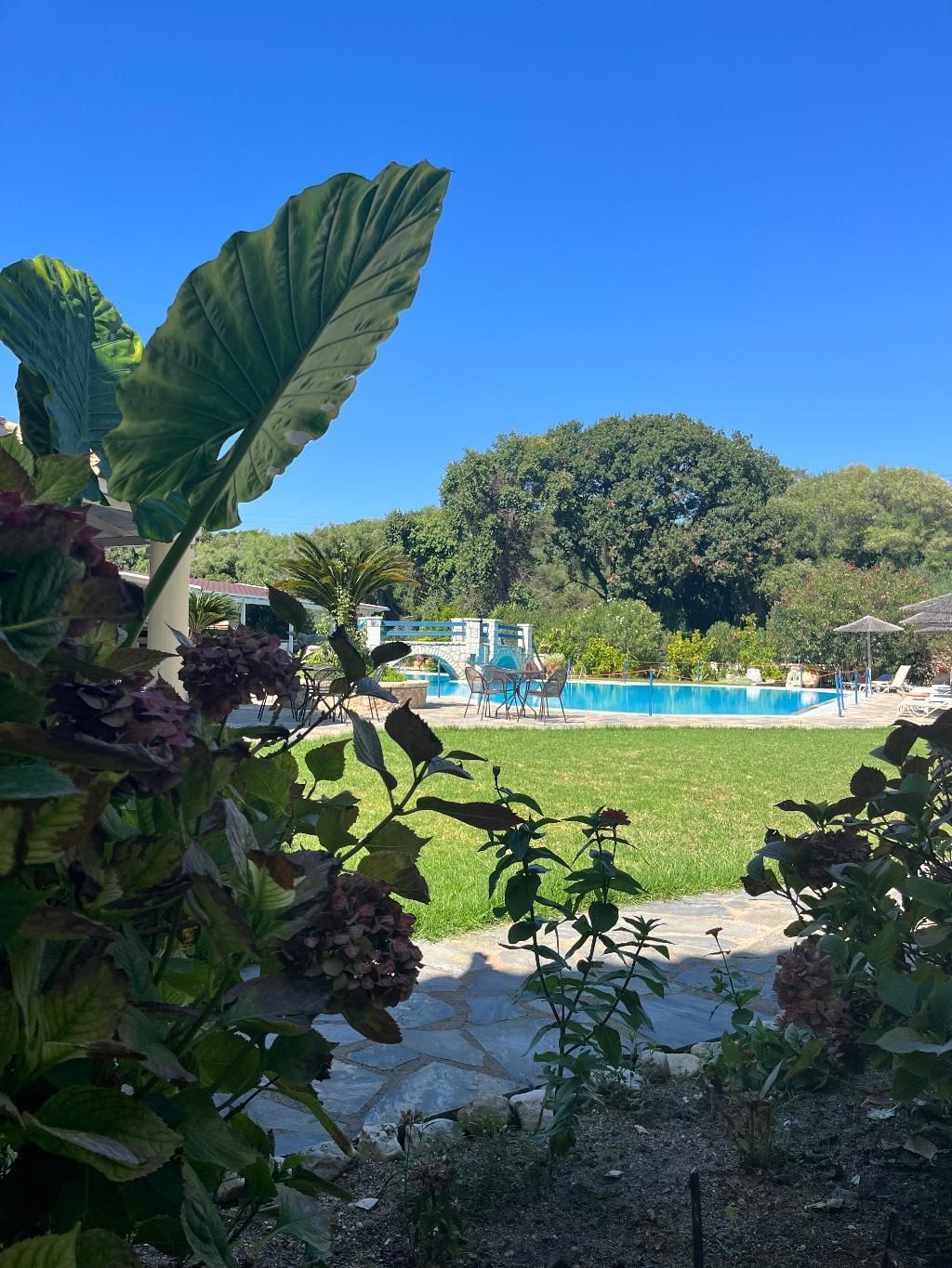 Karavostasi Beach Hotel, foto 9