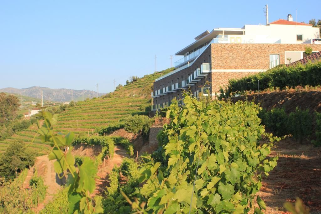 Delfim Douro, foto 10