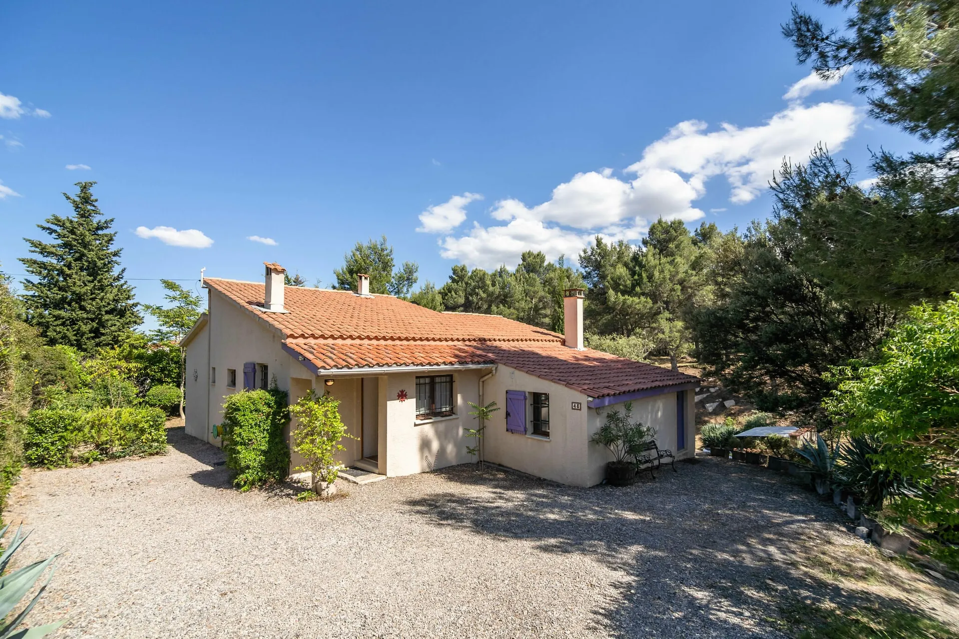 Exterieur vakantiehuis (zomer)