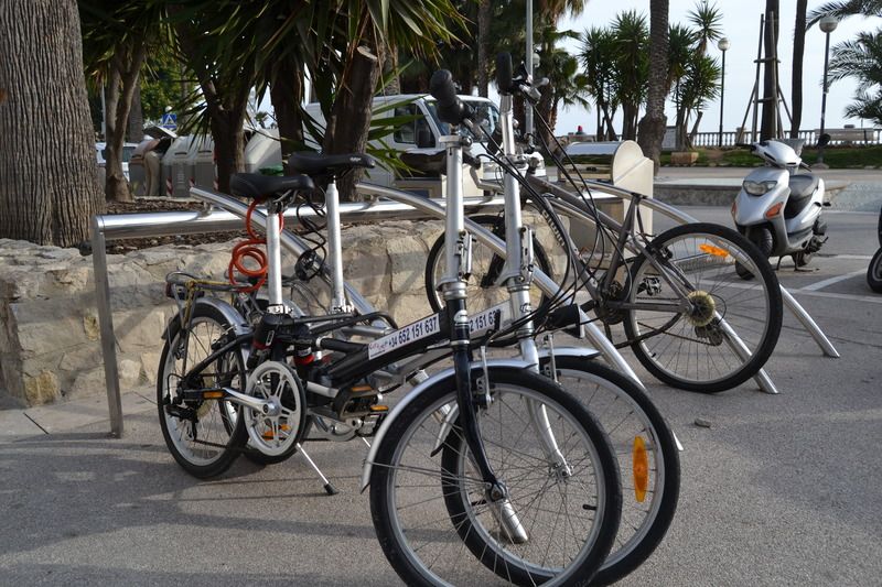 Platjador, foto 8