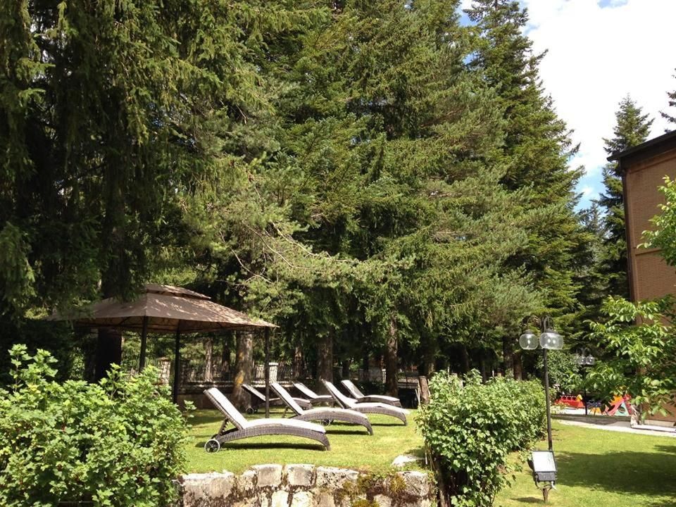 Albergo Il Picchio, foto 9