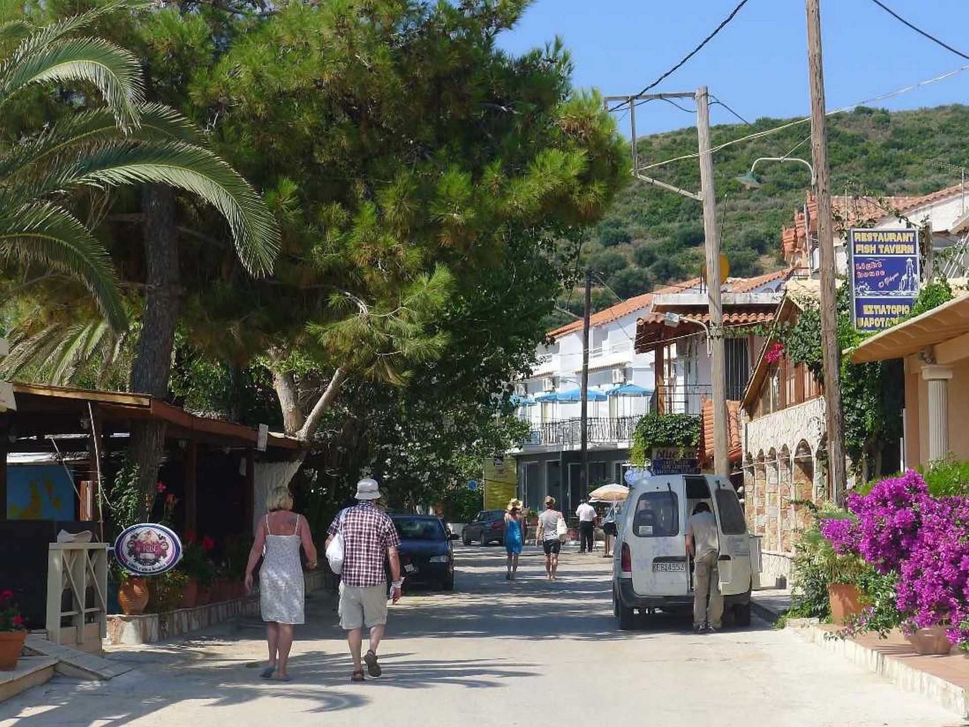 Anemona, foto 5