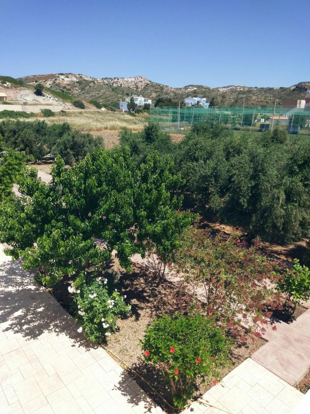 Eleni Hotel, foto 14