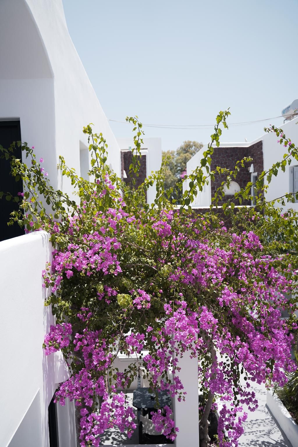 King's Suites, foto 12