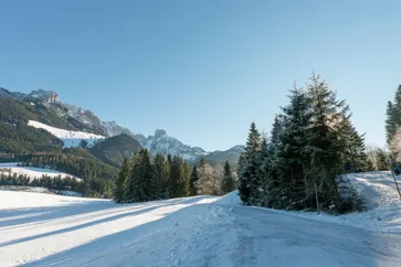 Directe omgeving (winter) (<1 km)