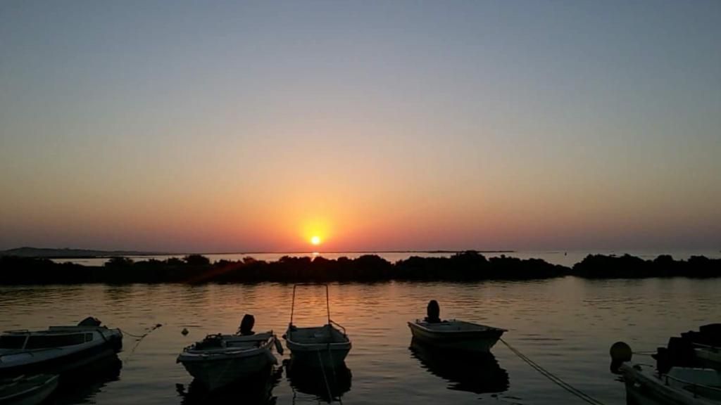 Estúdios Salinas Fuseta, foto 4