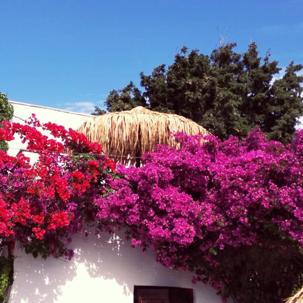 Naxos Summerland Resort, foto 6