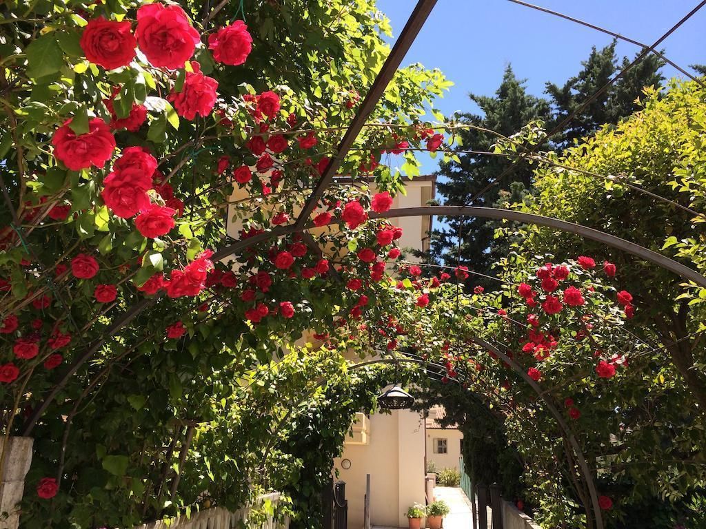 Parco Delle Rose, foto 2