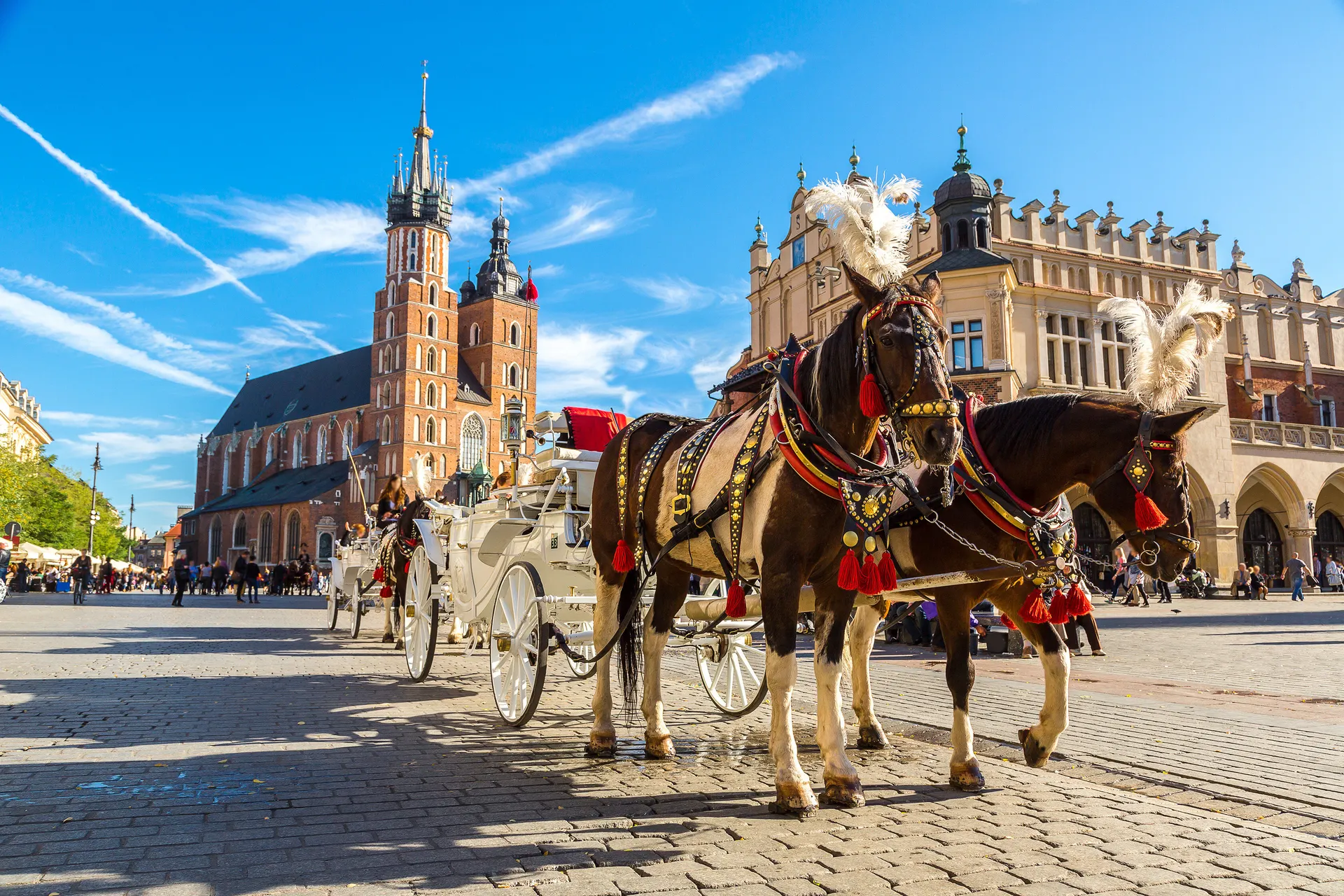 Ontdek Krakau inclusief transfer en excursies