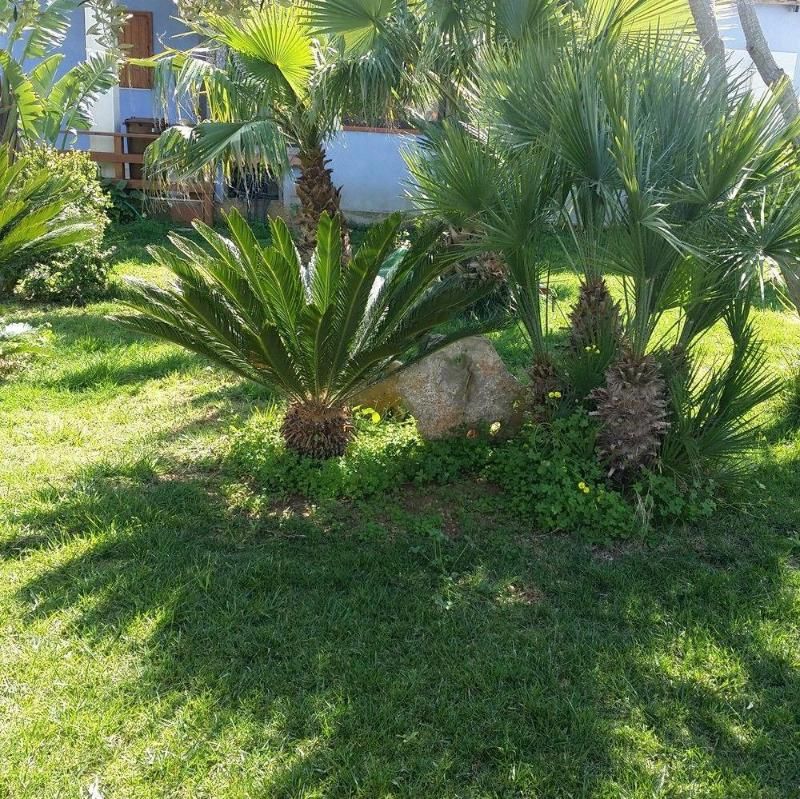 Villa Francesco Bed & Breakfast, foto 3