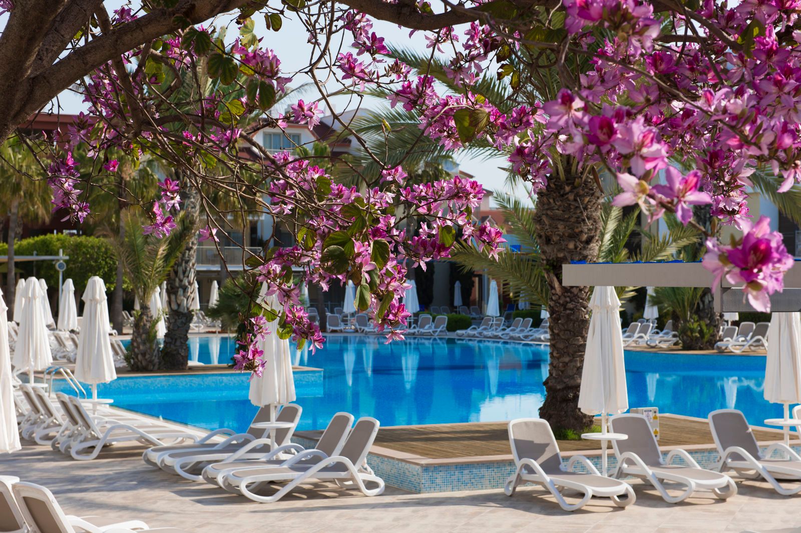 Barut B Suites, foto 3