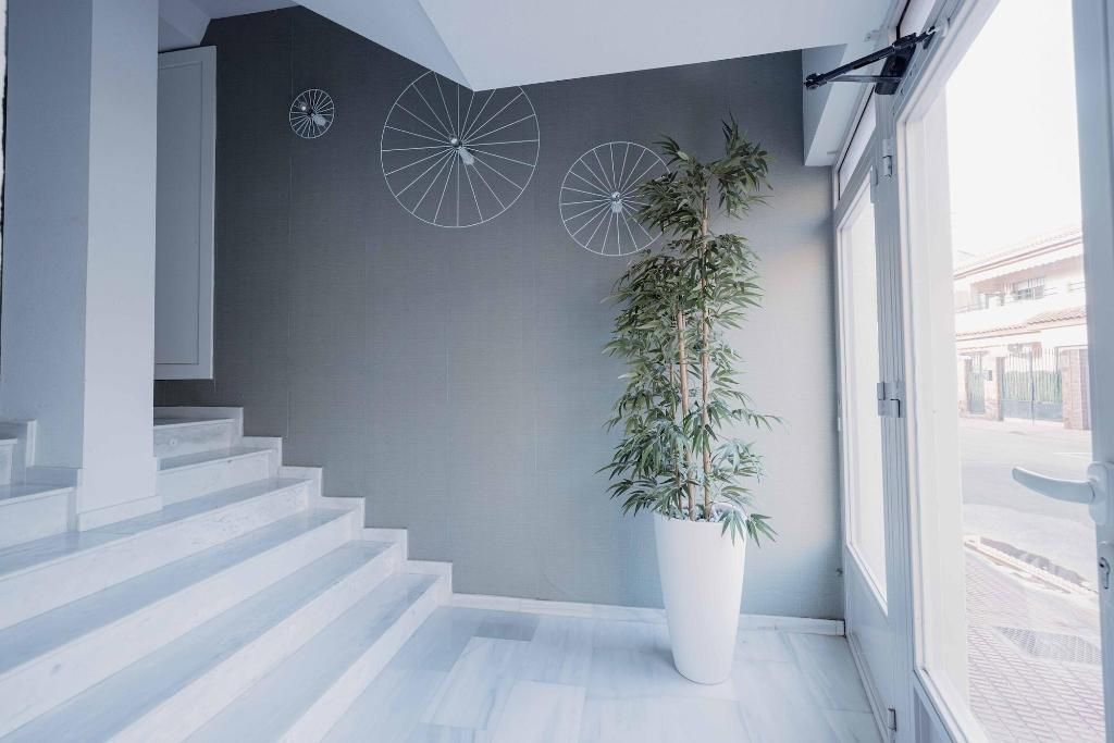Apartamentos 525 Los Narejos, foto 15