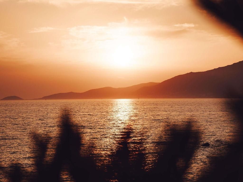 Sofitel Golfe d'Ajaccio Thalassa sea & spa, foto 13