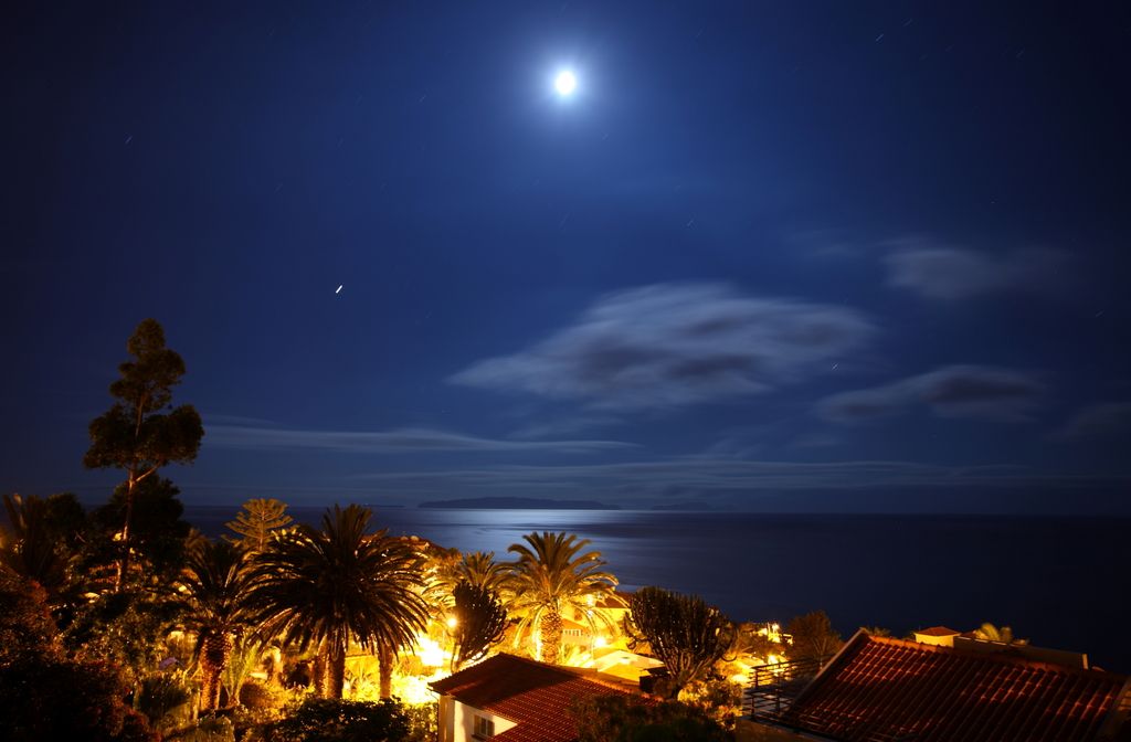 Canico Bay Apartments, foto 12