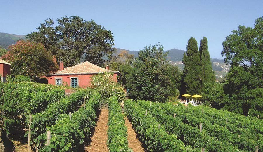 Quinta das Vinhas, foto 3