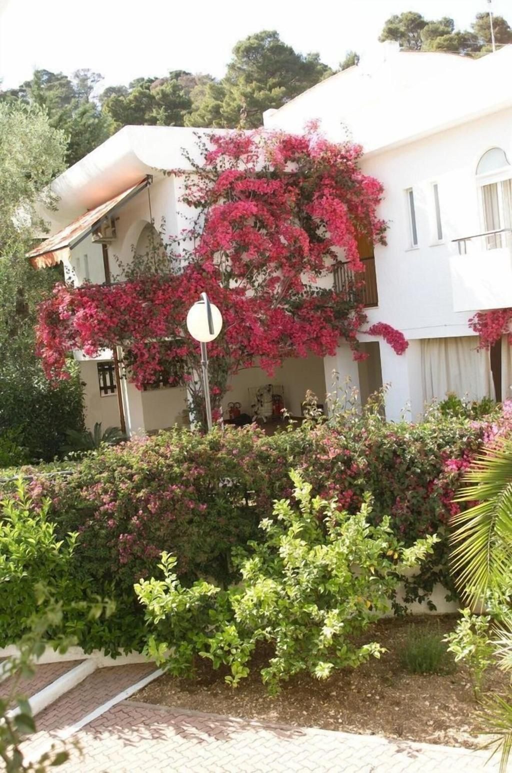 Apulia Hotels Baia dei Faraglioni, foto 3