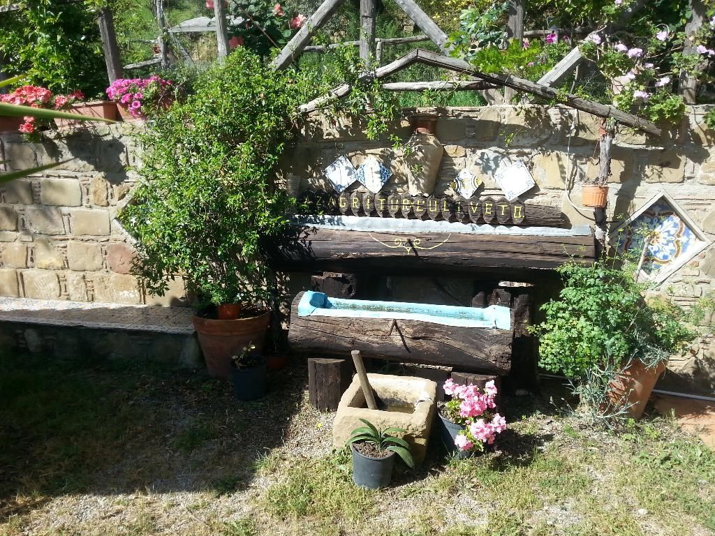 L'uliveto, foto 7