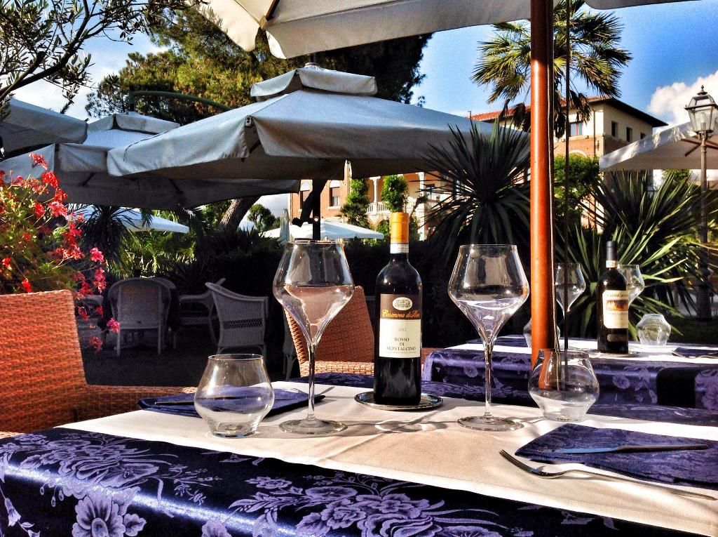 Park Hotel Villa Ariston, foto 2