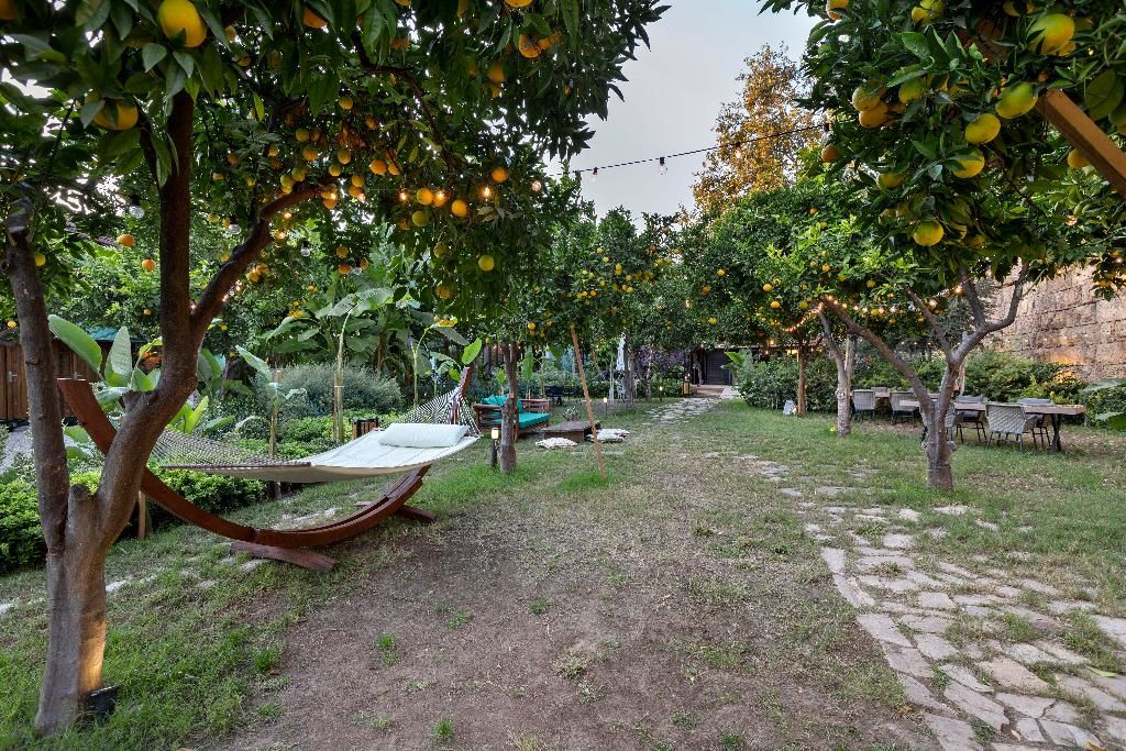 Casa Sur, foto 10