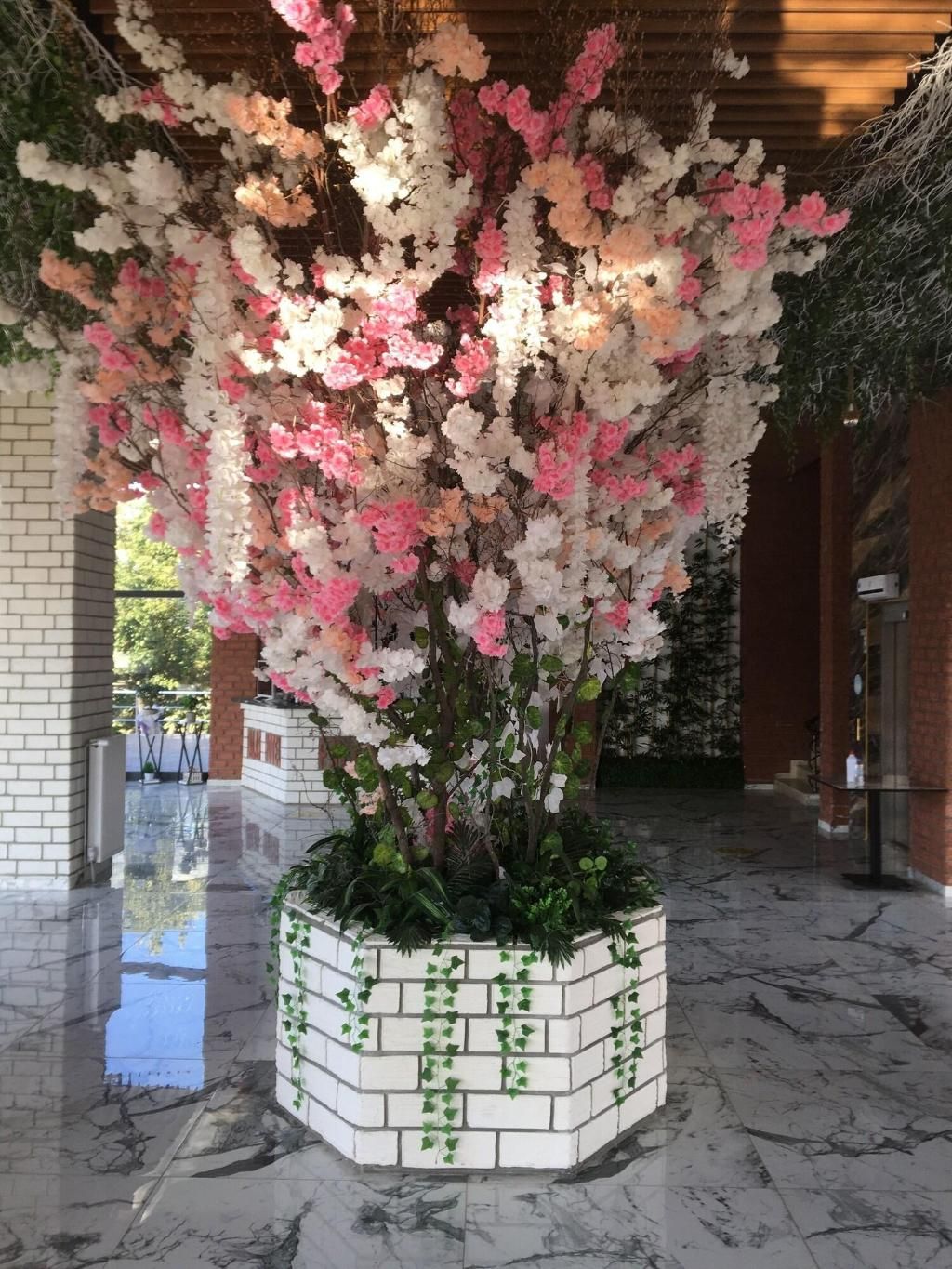 Palas Hotel, foto 10