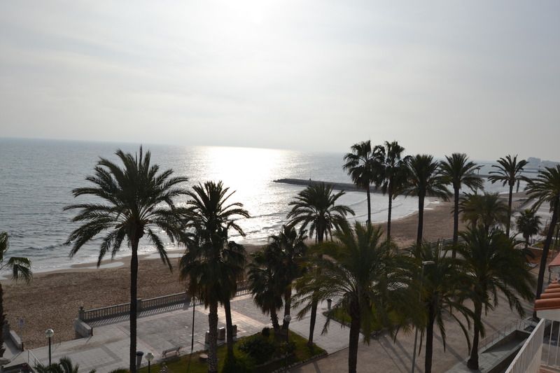 Platjador, foto 14