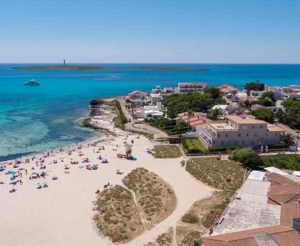 Comitas Isla del Aire, foto 15