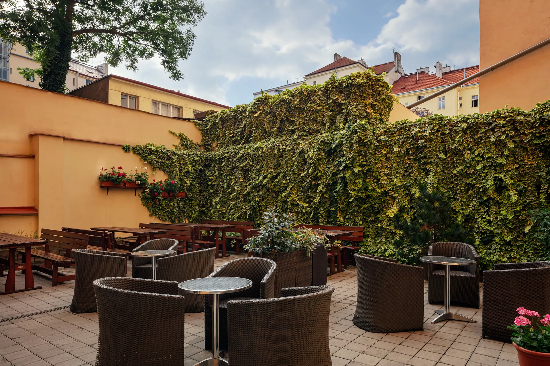 Terras