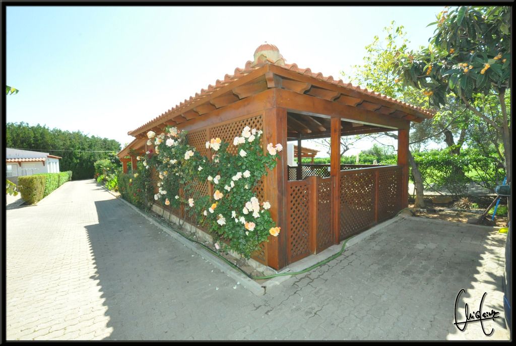 Flor da Laranja, foto 15