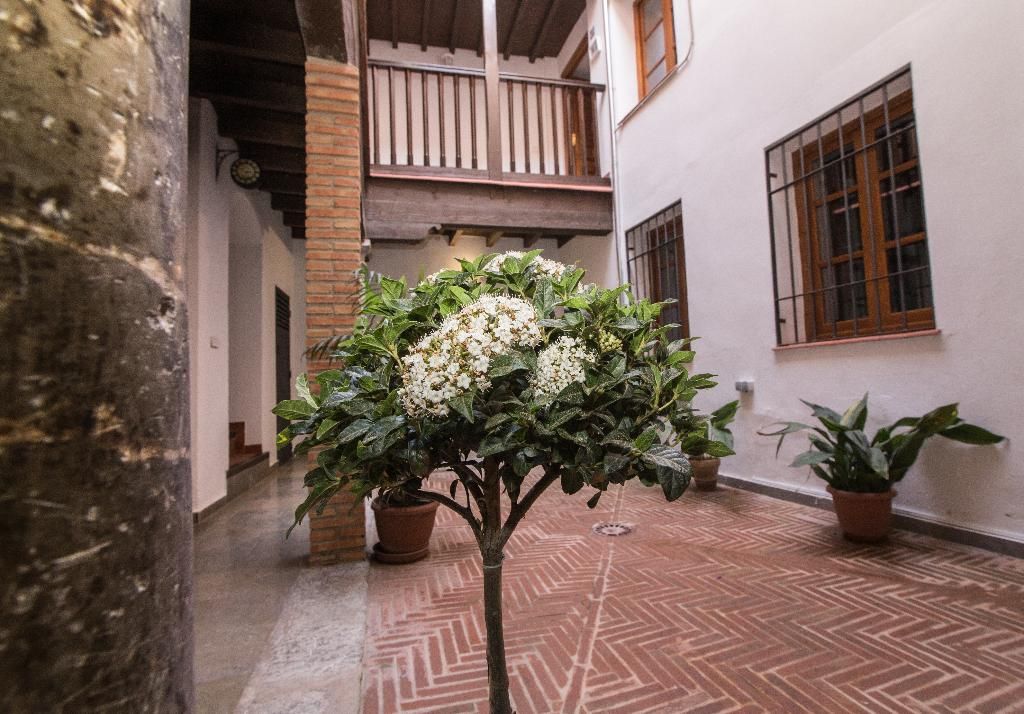 Apartamentos Granada Nahira Suites 3000, foto 6