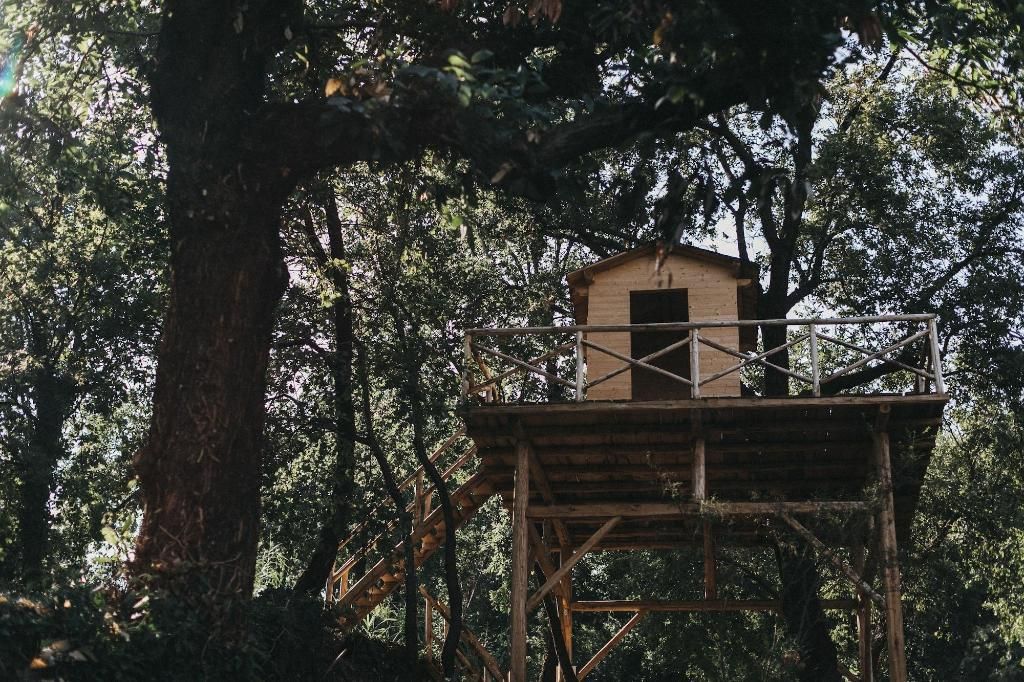 Monaci delle Terre Nere, foto 6