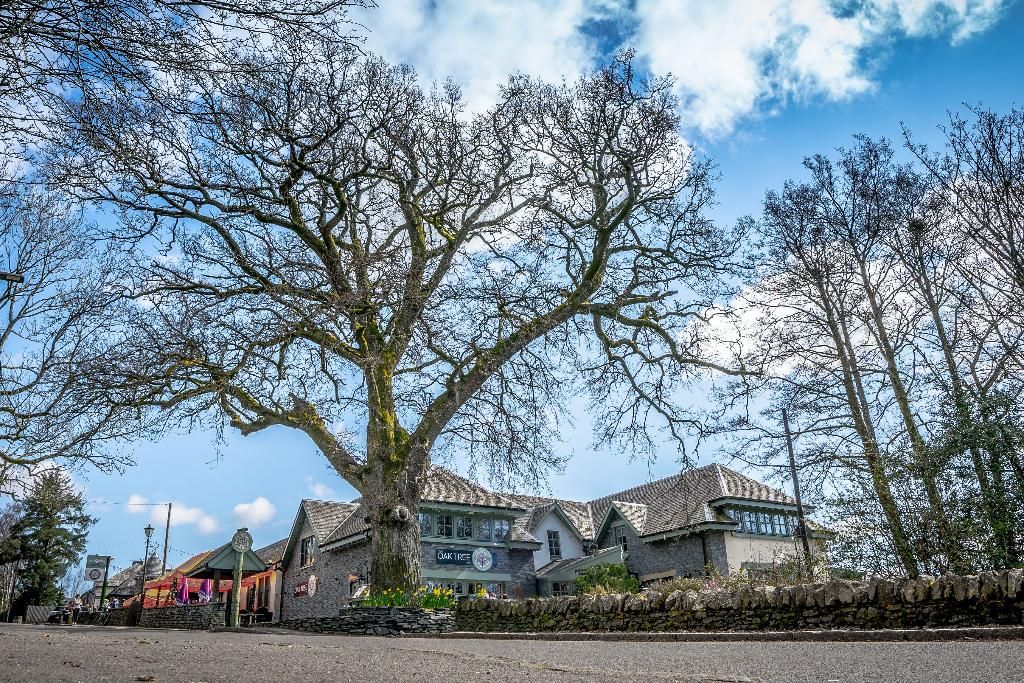 Oak Tree Inn, foto 12