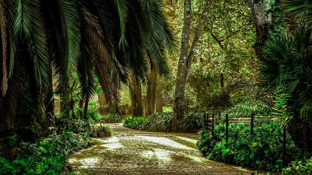 Sintra Marmoris Palace, foto 4