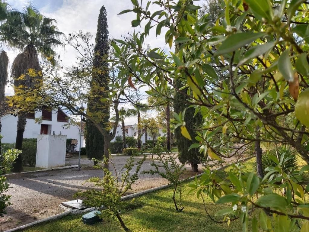 Cortijo del Arte, foto 14