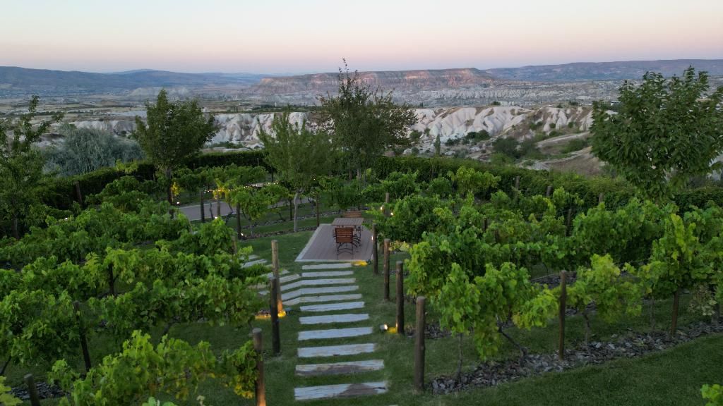 Ariana Sustainable Luxury Lodge, foto 12