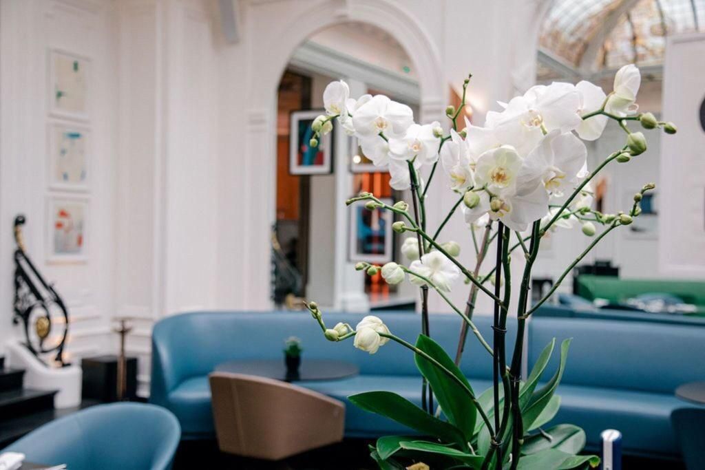 Hotel Vernet, foto 8