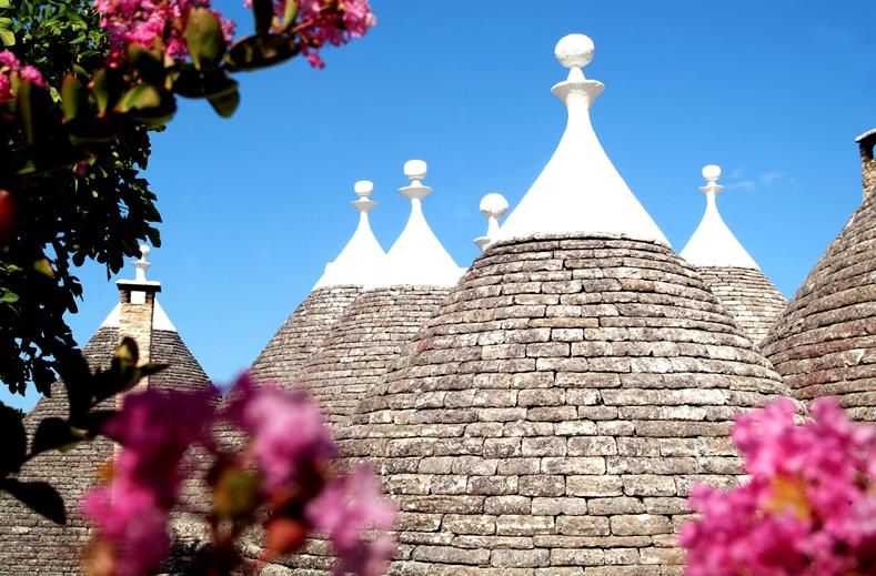 Tenuta Monacelle, foto 4