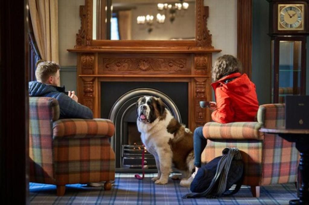 Oban Bay Hotel, foto 13