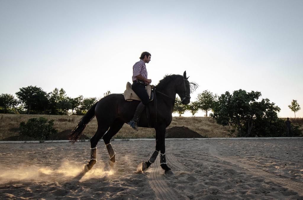 La Dehesa De Don Pedro, foto 2