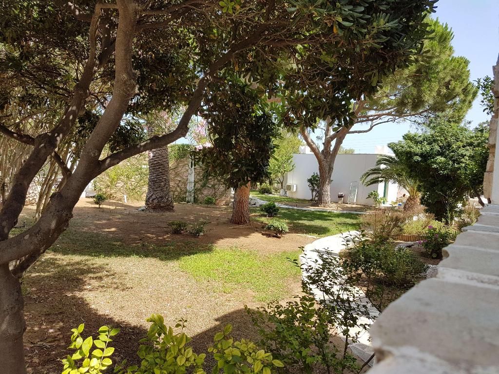 Naxos Beach Hotel, foto 3
