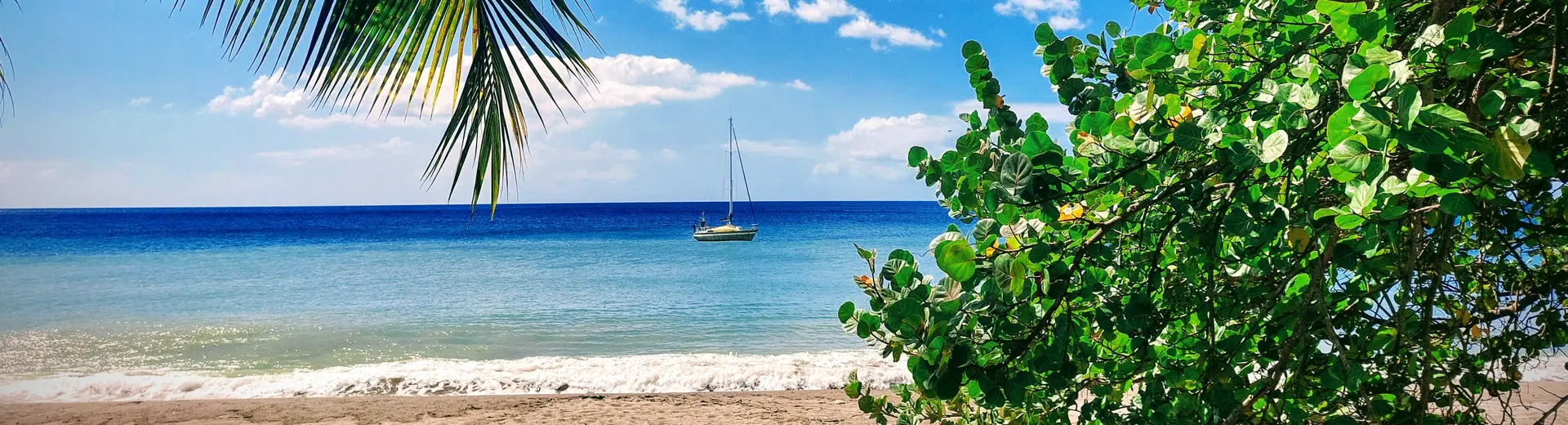 Consultez notre gamme d'hôtels en Martinique. Des complexes hôteliers de luxe et des petits hôtels de charme. Réservez dès maintenant avec Neckermann. 