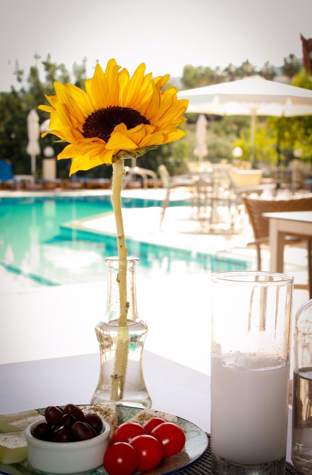 Villa Vicky Hersonissos, foto 5
