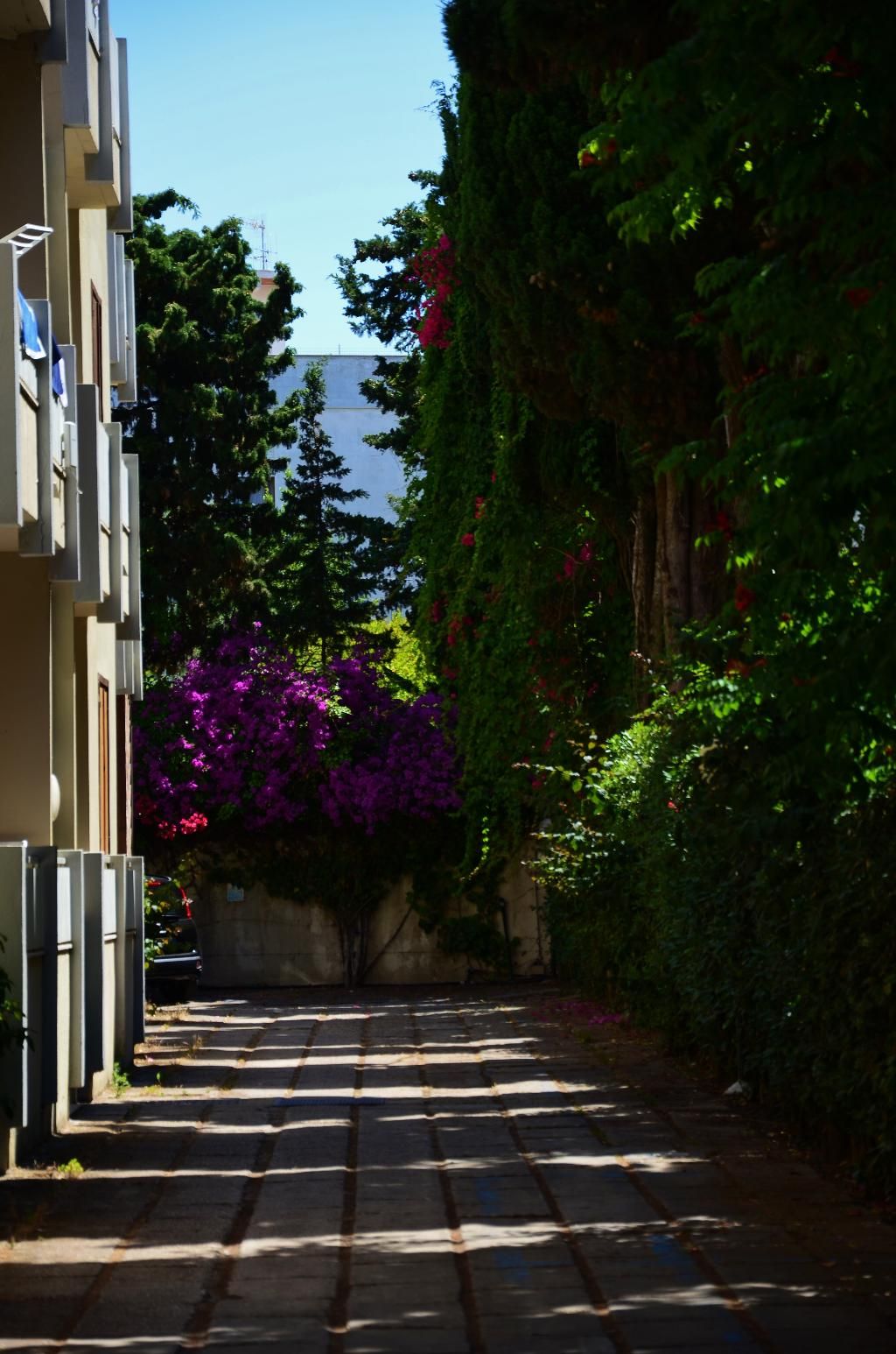 Residenza Gli Eucalipti, foto 6