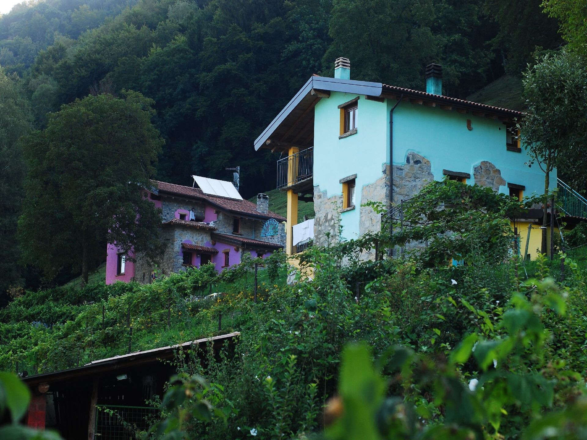 Agriturismo Al Marnich, foto 11