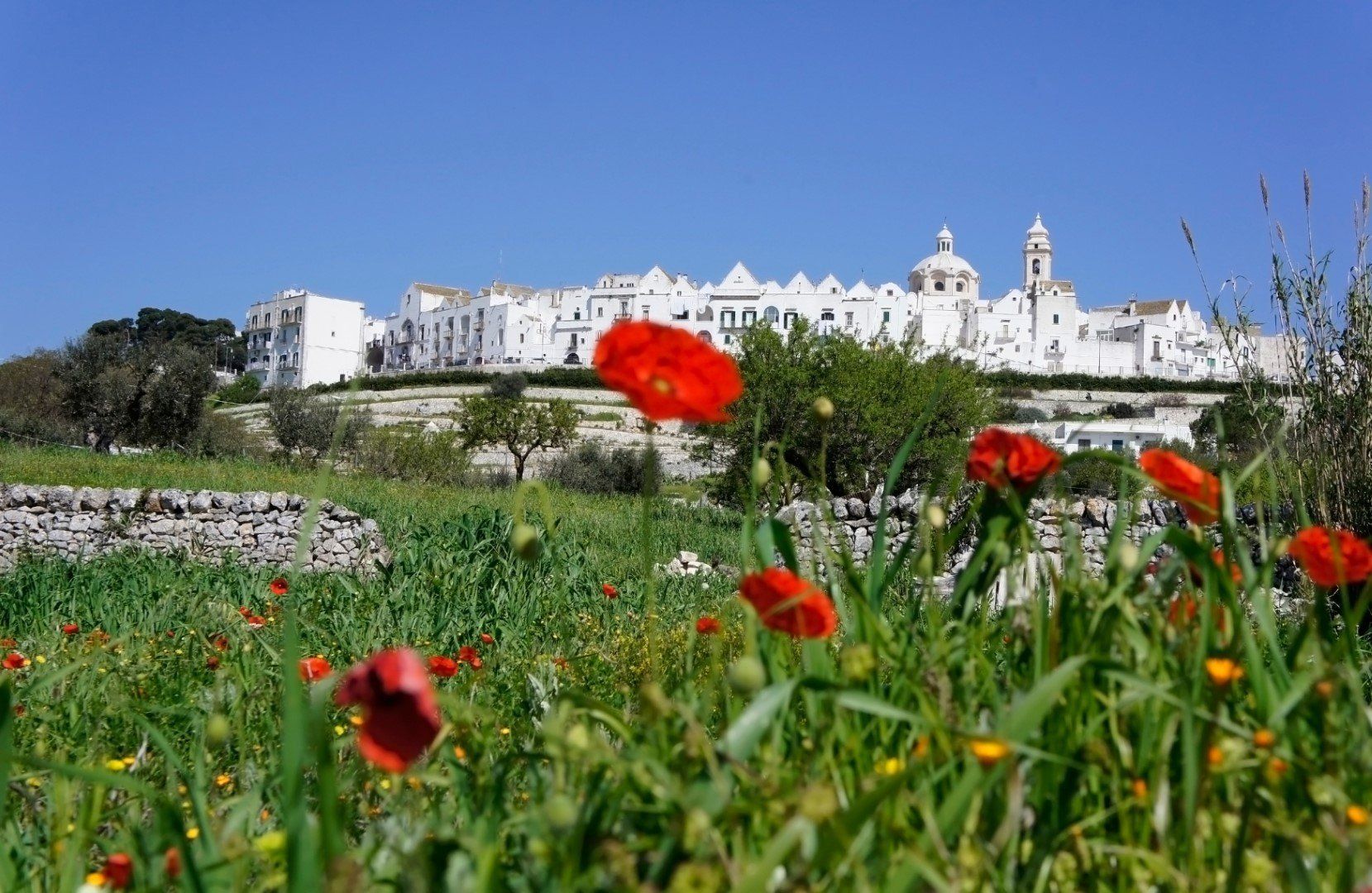 Privé wandelreis Puglia, wandelen tussen trulli, Matera en Barok, foto 13